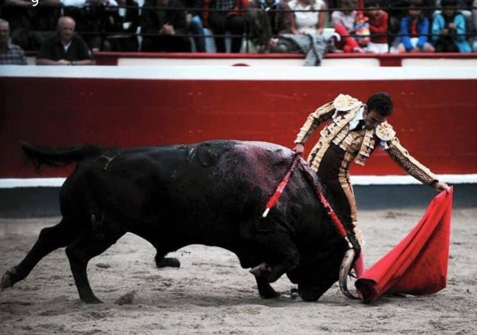 Sergio Serrano: «Para mi es un privilegio vestirme de torero sea con la ganadería que sea»