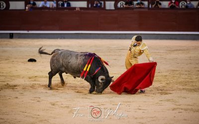 Sergio Serrano se impone en la vuelta de los toros a Las Ventas