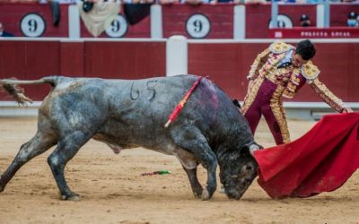 Sergio Serrano ‘arrasa’ con todos los premios de Albacete