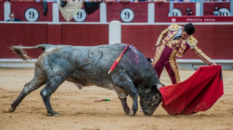 Sergio Serrano ‘arrasa’ con todos los premios de Albacete